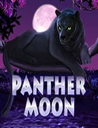 กลยุทธ์สมัคร slot pg เว็บ ตรง เพื่อทำกำไร